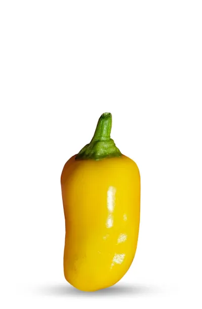 20 graines de Tabasco Jaune