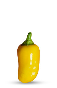 20 graines de Tabasco Jaune