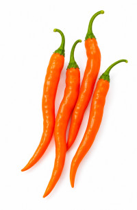 Graines de piment Turcs disponibles à l'achat