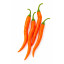 Graines de piment Turcs disponibles à l'achat