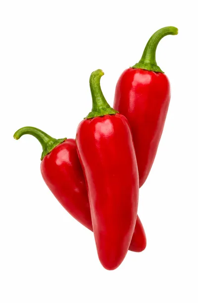 20 graines de piment Jalapeno Early