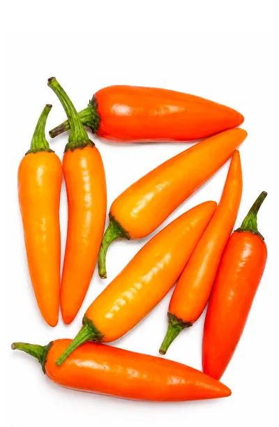 20 Lombok Orange Pepper Seeds - La Sauce Piquante