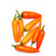 20 Lombok Orange Pepper Seeds - La Sauce Piquante