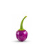 piment violet comestible achat en ligne