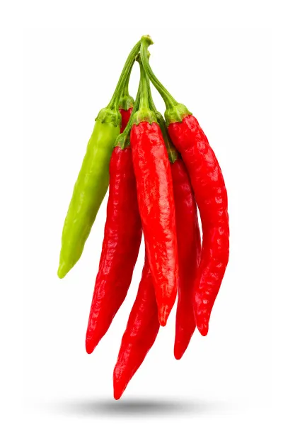 Graines de piment Bolivien Birgits Locoto