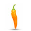 20 Tequila Sunrise chili pepper seeds - La Sauce Piquante