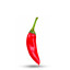 20 Drago pepper seeds - La Sauce Piquante