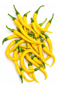20 graines de piment Trompe d'éléphant