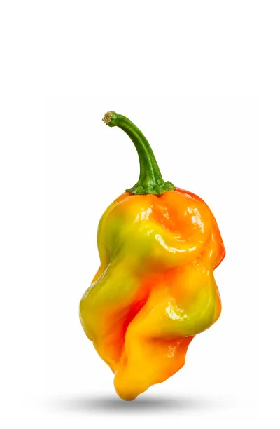 Sumatra pepper seeds - La Sauce Piquante